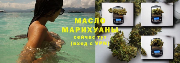сатива Баксан