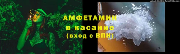 сатива Баксан