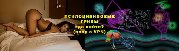 сатива Баксан