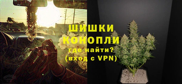 сатива Баксан