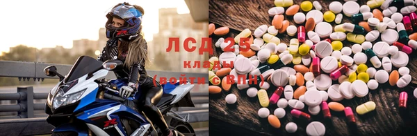 сатива Баксан